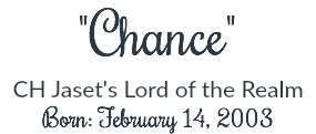 "Chance"
CH Jaset's Lord of the Realm Born: February 14, 2003
