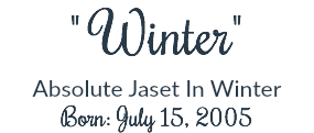 " Winter"
Absolute Jaset In Winter Born: July 15, 2005