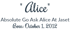 " Alice"
Absolute Go Ask Alice At Jaset Born: October 1, 2012